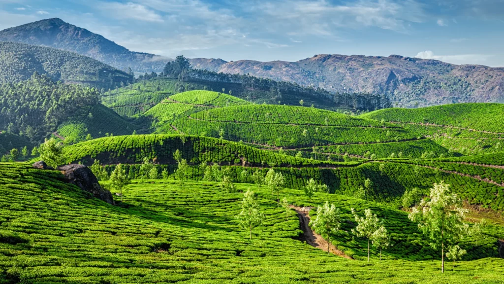Munnar Tourist Places